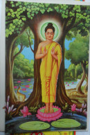 Buda Budha 23 - Buddismo