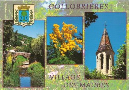 83. CPM. Var. Collobrières. Village Des Maures, Richesse Du Terroir (mimosas, Clocher, Vieux Pont) - Collobrieres