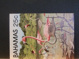 57/202   5  CP  BAHAMAS REPRODUCTION DE TIMBRES - Flamingos