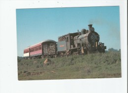 PARAGUAY 117 STEAM ALL OVER THE WORLD . TRAIN SPECIAL N° 102 ENTRE LES GARES DE VILLARICA ET DE PEREZ CARDOZO 1983 - Paraguay