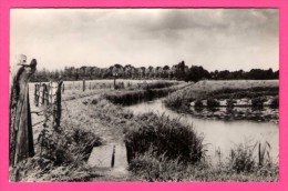 Zo Was Dordrecht - Eigen Weg Van Zuidendijk Naar " Crabbenhoff " 1937 - W. MEIJERS - KOOS VERSTEEG - SPARO - Dordrecht