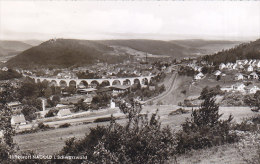 Nagold - Gesamtansicht M.Viadukt - Nagold