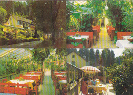 Lorch - Waldcafe Restaurant Muckensee - Lorch
