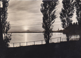 Radolfzell Am Bodensee - Sonnenuntergang - Radolfzell