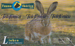 Télécarte NEUVE Espagne NSB Fauna Ibérica - LAPIN LIEVRE - RABBIT MINT Chip Phonecard - KANINCHEN - Rabbits