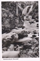 Hollental - Ravennaschlucht Wasserfall - Hinterzarten
