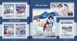 Mozambico 2015, Sledge Dogs, 4val +BF - Faune Arctique