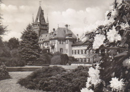 Weinheim A.d.Bergstrasse - Schlosspark 1969 - Weinheim