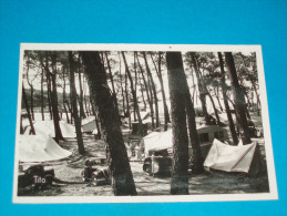 17 ) Vaux - Nauzan - N° 49 - Carte Photo - Camp De L'auto Camping Club De France  - Année  - EDIT : Berjaud - Vaux-sur-Mer