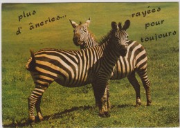 Animaux - Zèbres - Plus D'âneries.. Rayées Pour Toujours - Editeur: Simba N°3001 - Zebras