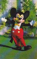 Florida Walt Disney World Welcome Mickey Mouse Has Been The Beloved Symbol Of Disney Entertainment - Disneyworld