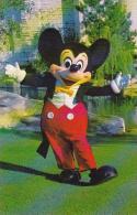 Florida Walt Disney World Welcome Mickey Mouse Has Been The Beloved Symbol Of Disney Entertainment - Disneyworld