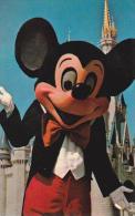 Florida Walt Disney World Welcome To Fantasyland - Disneyworld
