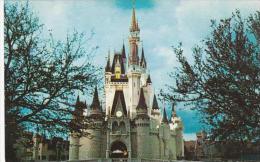 Florida Walt Disney World Cinderella Castle Fantasyland - Disneyworld