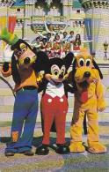 Florida Walt Disney World Goofy Mickey And Pluto Pose With One Of The Many Disney Entertainment Groups - Disneyworld