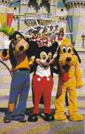 Florida Walt Disney World Goofy Mickey And Pluto Pose With One Of The Many Disney Entertainment Groups - Disneyworld