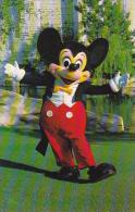 Florida Walt Disney World Welcome Mickey Mouse Has Been The Beloved Symbol Of Disney - Disneyworld