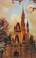 Florida Walt Disney World Cinderella Castle Fantasyland - Disneyworld