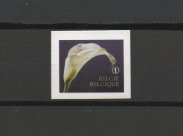 België Nr. 4368a  Xx  -  Rouwzegel  - Postprijs - Neufs