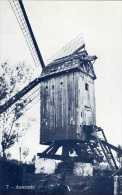 ASSENEDE (O.-Vl.) - Molen/moulin - Blauwe Prentkaart Ons Molenheem Van De Sint-Hubertusmolen Of "Sint-Albrecht" - Assenede