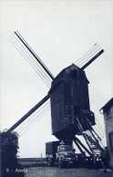 ASSENT Bij Bekkevoort (Vlaams-Brabant) - Molen/moulin - Blauwe Prentkaart Ons Molenheem Van De Gewezen Mierenbergmolen - Bekkevoort