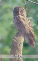 Télécarte à Puce ALLEMAGNE Petit Tirage - Animal - OISEAU HIBOU - OWL  Bird Germany Chip Phonecard - EULE - 4104 - Owls