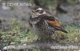 Carte Ancienne Japon - ANIMAL - OISEAU / GRIVE DE NAUMANN - Song BIRD Japan Rare Prepaid Card - Vogel - Fumi 4122 - Pájaros Cantores (Passeri)