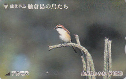 Carte Ancienne Japon - ANIMAL - OISEAU Passereau / PIE GRIECHE BRUNE - BIRD Japan Rare Prepaid Card - Vogel - Fumi 4125 - Songbirds & Tree Dwellers