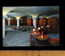 VILLIE MORGON Rhône 69  : Beaujolais : Nouvelle Cave De Vieillissement Du Vin Et De Réception / Tonneaux Bouteilles - Villie Morgon