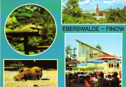 Eberswalde Finow - Mehrbildkarte 2  Im Tierpark - Eberswalde