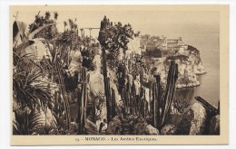 MONACO - N° 19 - LES JARDINS EXOTIQUES - CPA NON VOYAGEE - Exotische Tuin