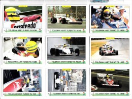 LOT DE 149 CARTES TRADING CARDS AYRTON SENNA DE 1994 EN PARFAIT ETAT (34 PHOTOS) - Catalogues