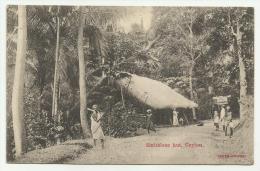 CEYLON SRY LANKA SINHALESE HUT NON VIAGGIATA FP 1920 - Sri Lanka (Ceylon)