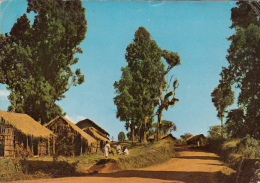 ETHIOPIA - Scenery - Wondo - Ethiopie