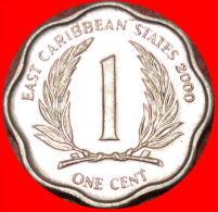 ★SCALLOPED: EAST CARIBBEAN ★ 1 CENT 2000! LOW START ★ NO RESERVE!!! - East Caribbean States