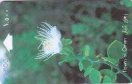 Oman,  OMN-G-29F, 1995 Flowers, Capparis Spinosa, 2 Scans. - Oman