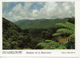 CP - PHOTO - GUADELOUPE - HAUTEUR DE LA BASSE TERRE - ALEXIS BOISDEBOUT - 076 - - Basse Terre