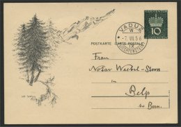 LIECHTENSTEIN, STATIONERY POSTCARD 1956, NON PHILATELIC USE - Ganzsachen