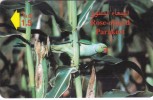 Oman,  OMN-G-41K, Rose Ringed Parakeet, Bird, Parrot, 2 Scans. - Oman