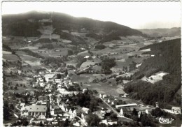 Carte Postale Ancienne De LAPOUTROIE-Vue Générale - Lapoutroie