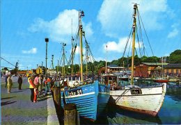 Eckernförde - Fischerboote Im Hafen 2 - Eckernförde