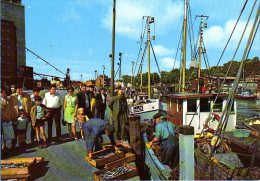 Eckernförde - Fischerboote Im Hafen 3 - Eckernförde