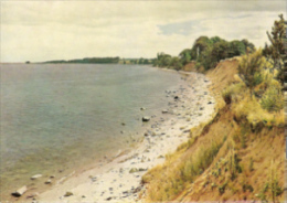 Eckernförde - Steilküste Bei Altenhof - Eckernfoerde