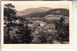 0-6405 SCHALKAU - TRUCKENTHAL, Ortsansicht, 1957 - Sonneberg
