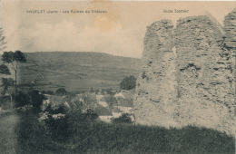 ORGELET - Les Ruines Du Château - Orgelet