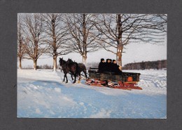 KITCHENER - ONTARIO - MENNONITE FAMILY - WINTER SCENE - PROMENADE EN CARRIOLE AVEC CHEVEAUX - SLEIGH RIDE WITH HORSES - Kitchener