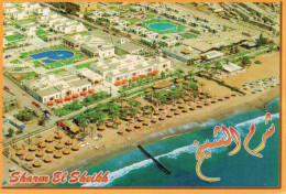 SHARM  EL  SHEIKH       MAXI-CARD     (VIAGGIATA) - Sharm El Sheikh