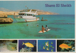 SHARM  EL  SHEIKH   VIEW  OF THE RED  SEA      MAXI-CARD     (VIAGGIATA) - Sharm El Sheikh