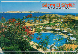 SHARM  EL  SHEIKH   NAAMA  BAY      MAXI-CARD     (VIAGGIATA) - Sharm El Sheikh