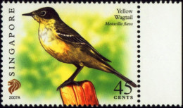 BIRDS-YELLOW WGTAIL-SINGAPORE-REPRINT SERIES-2007A-MNH-B6-883 - Pics & Grimpeurs